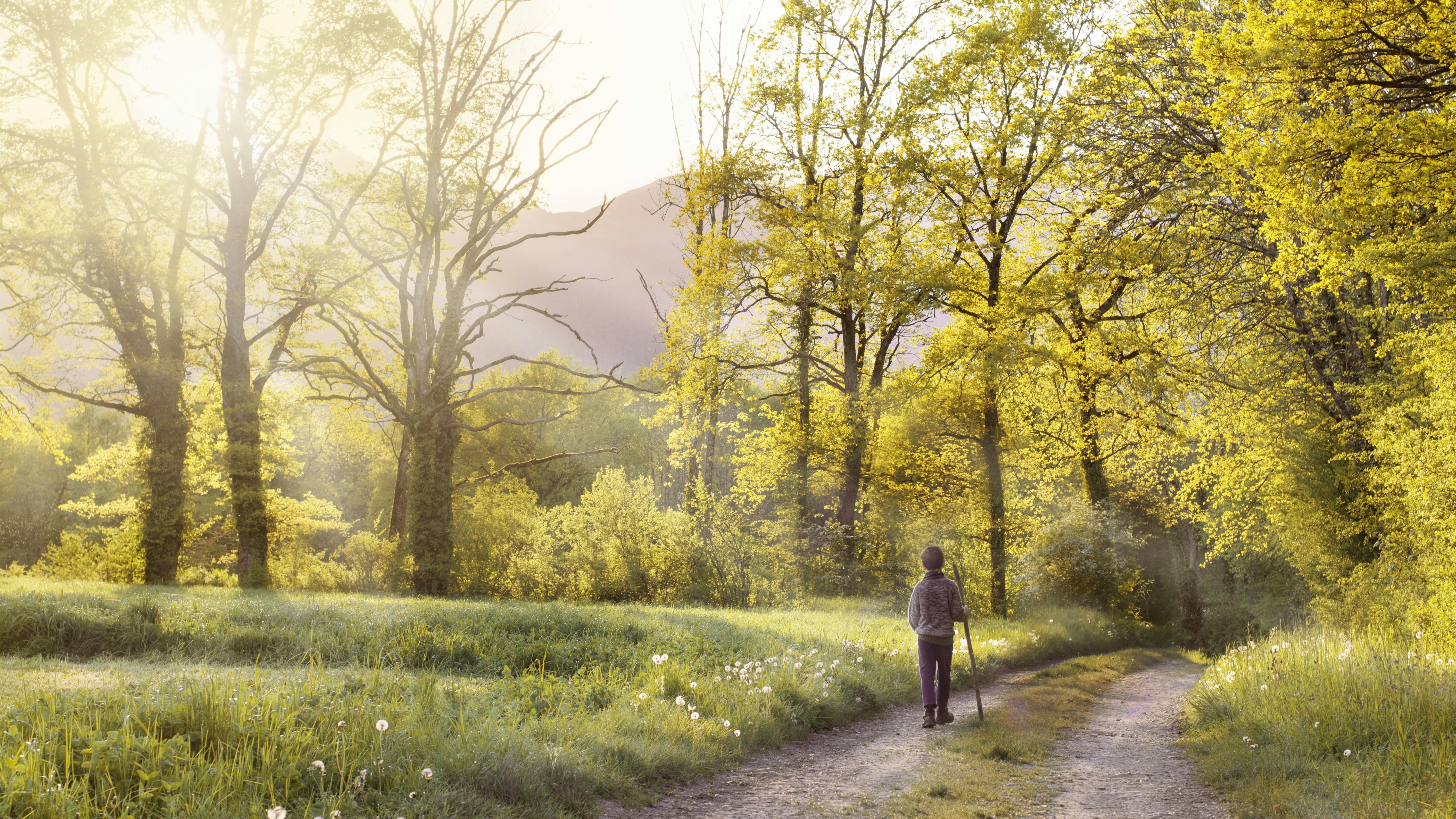 1000 деревьев для Актобе